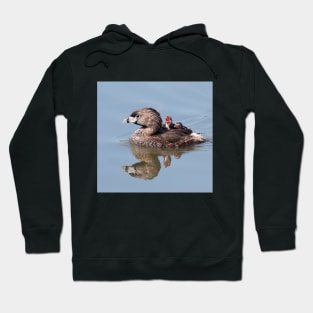 "Mom!...Timmy won't move over!" Pied-billed grebes Hoodie